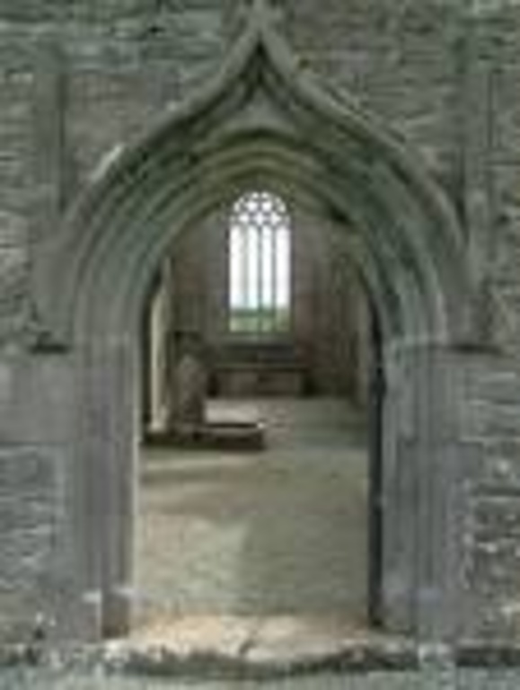 Rathfran abbey/ priory