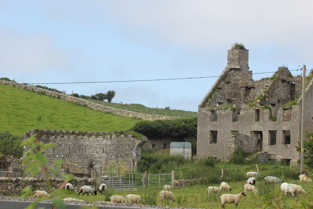 17th Century Ruin on road to cottage
