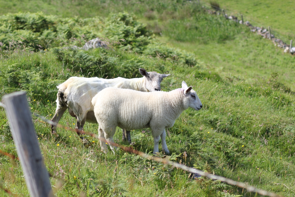 Stop and chat with the neighbors 