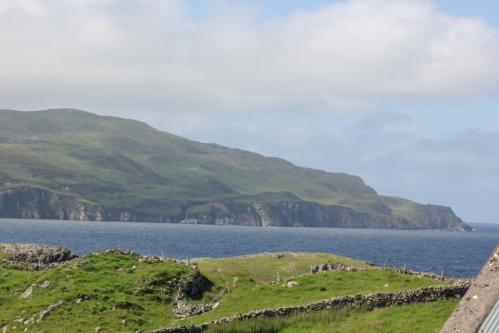 Horn head from the upstairs bedroom 