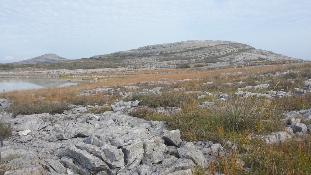 The Burren - c. 20 mins from our house