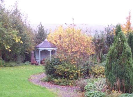 Back garden and Gazebo