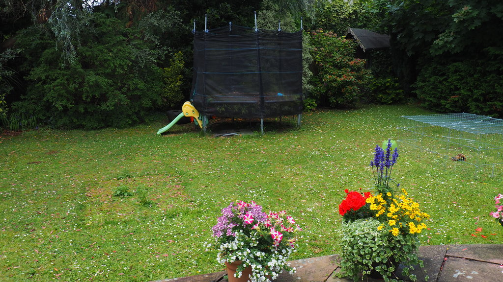 Our garden 