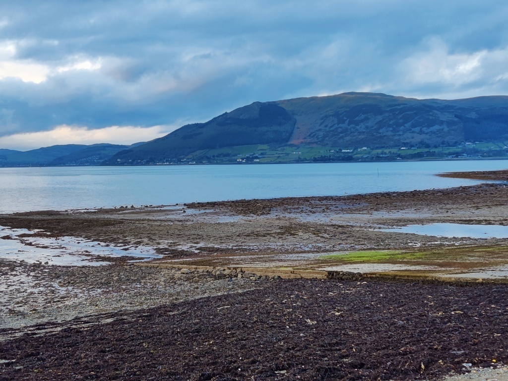 Carlingford Lough 