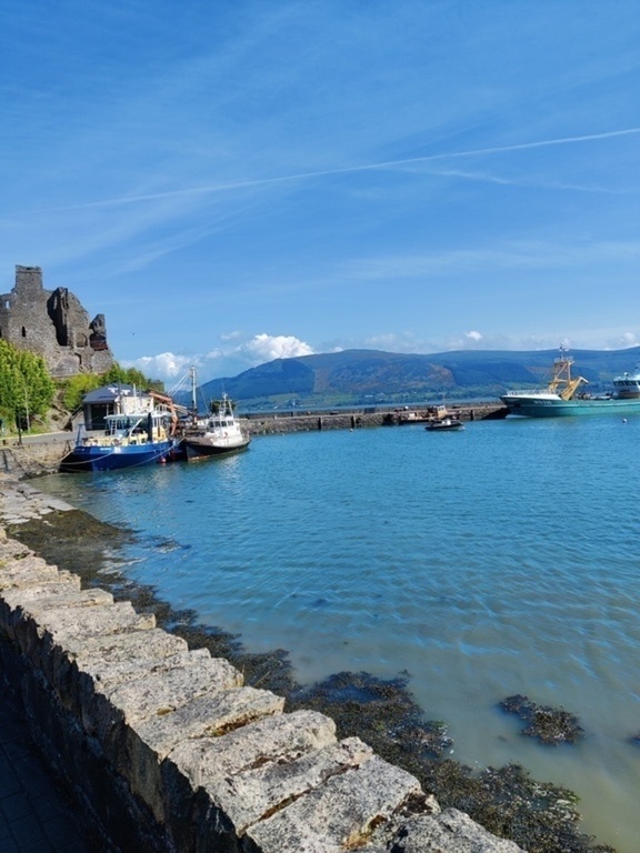 Carlingford Harbour