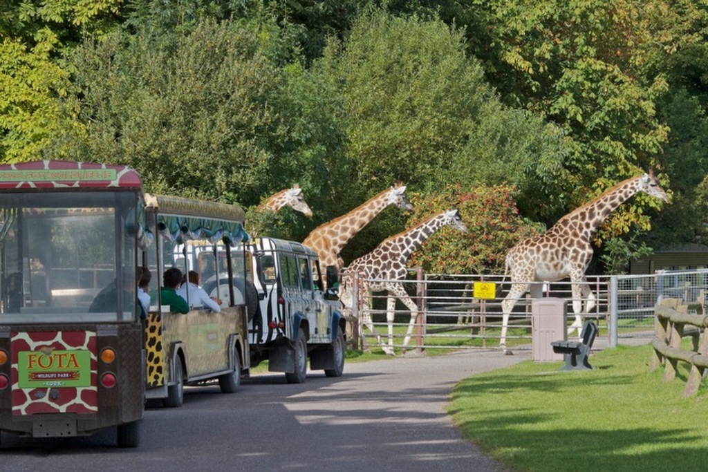 Fota wildlife park