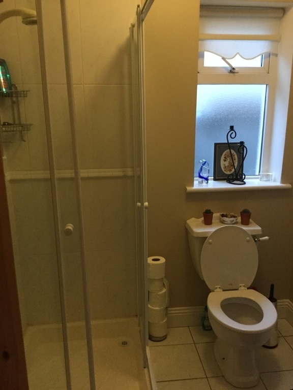 Downstairs bedroom ensuite