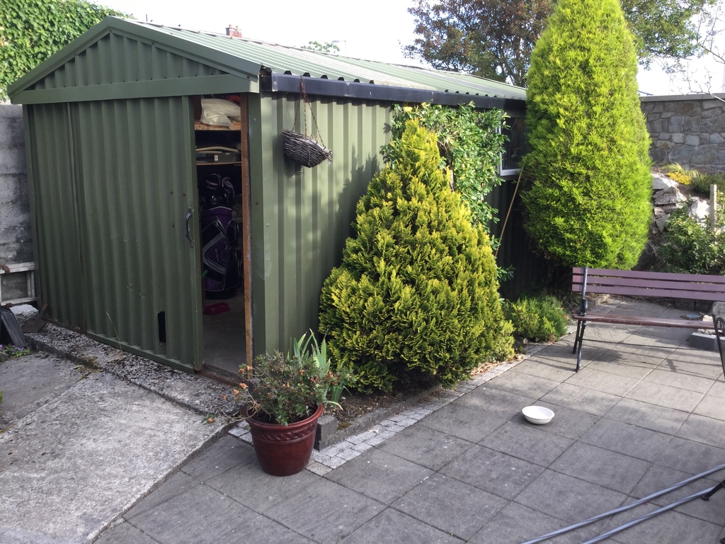 Back garden shed