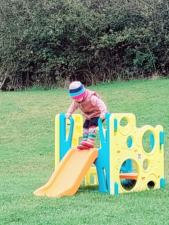 Toddler Slide and Climbing Frame
