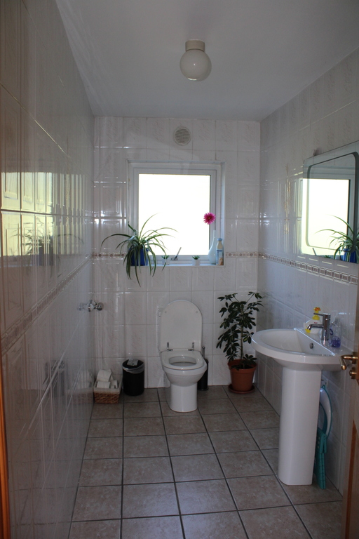 Downstairs Toilet