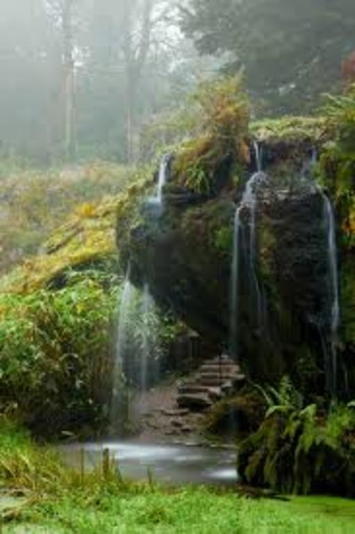 Blarney garden (9km away from house)