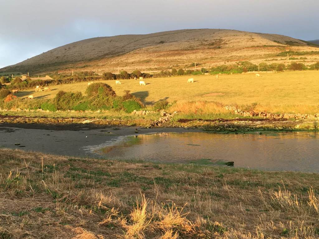 Evening at Bishops Quarter beach