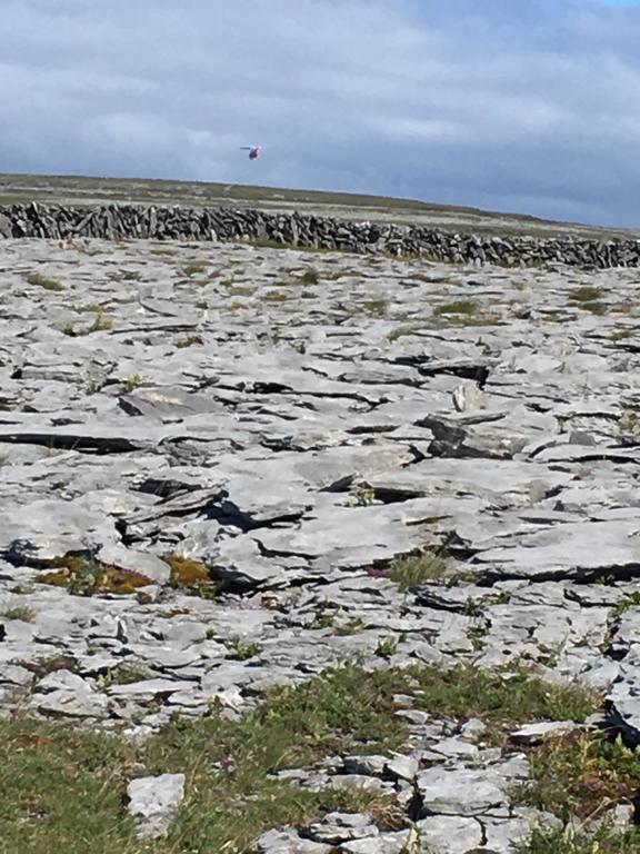 Burren limestone landscape