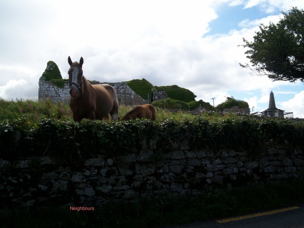 Other neighbours almost next door