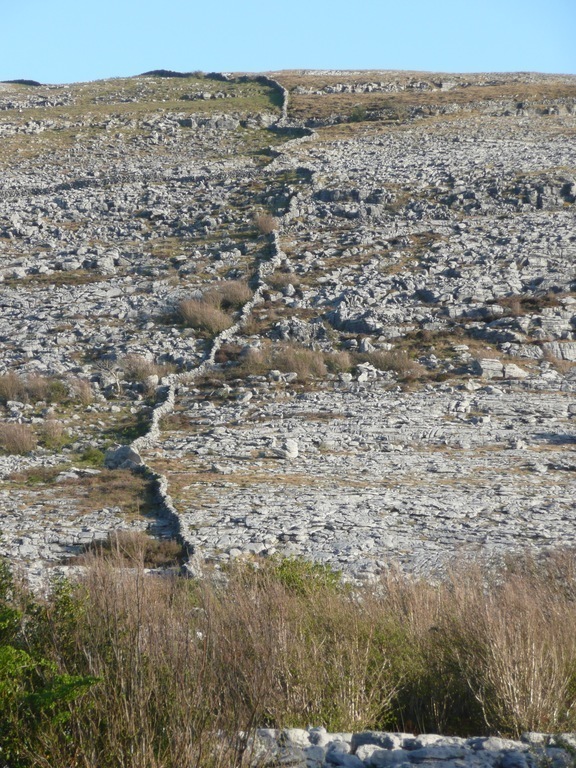 Burren wall