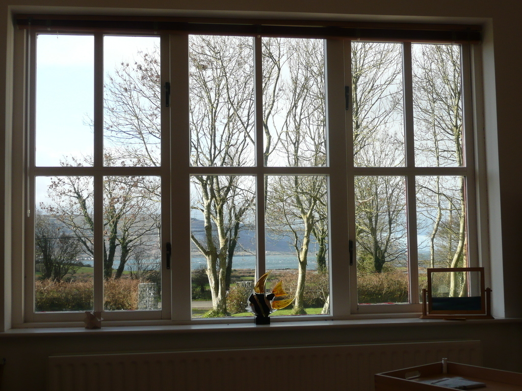 View from living room window