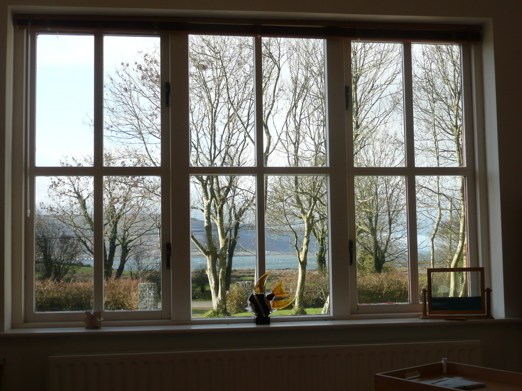 View from living room window