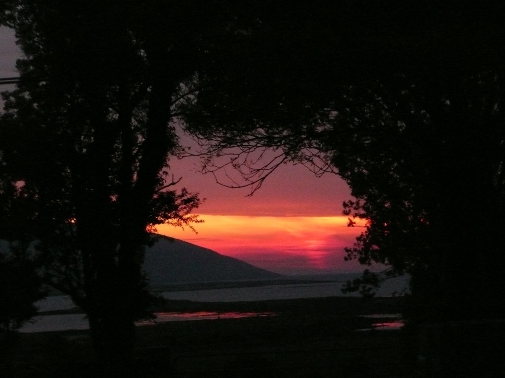 Almost dark, August evening
