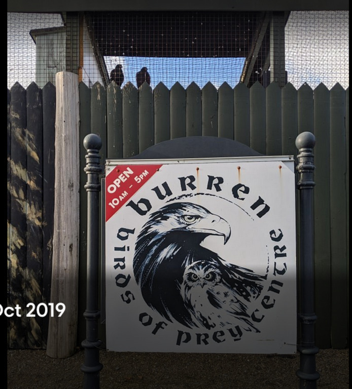 Birds of Prey, Ailwee Cave