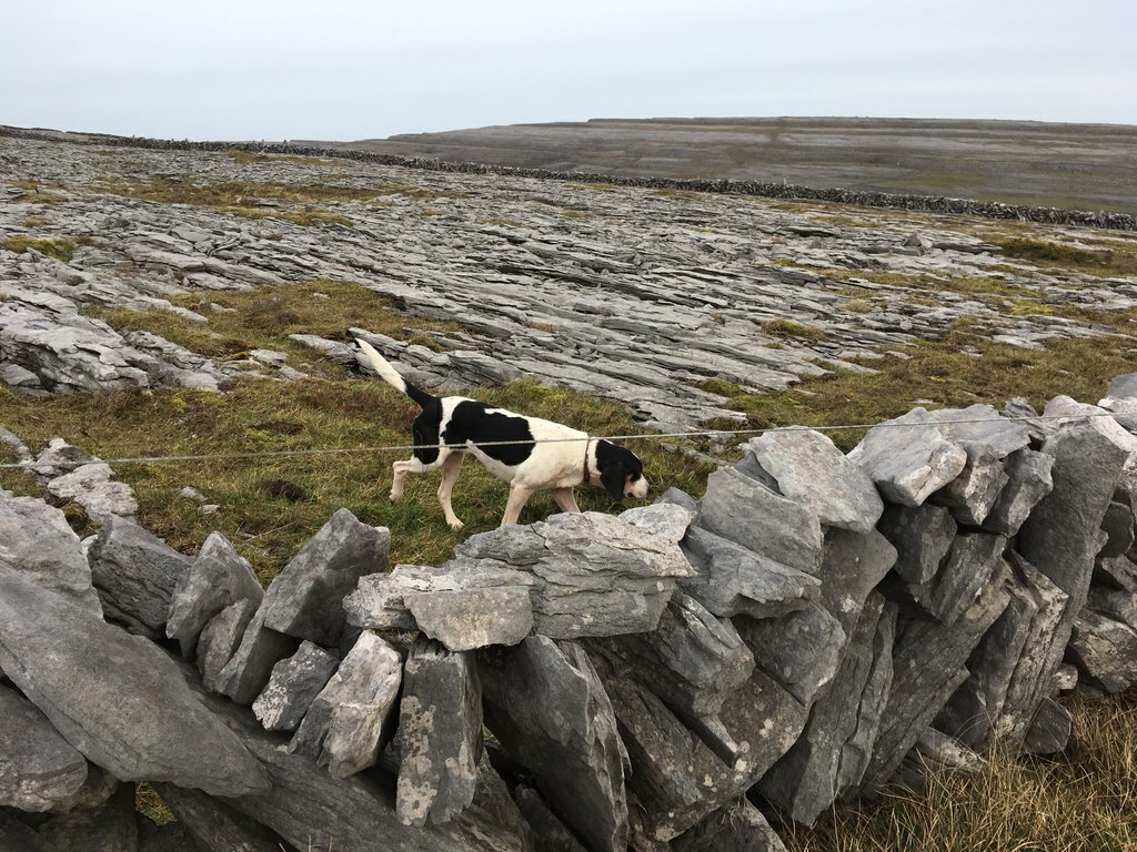 Burren limestone landscape