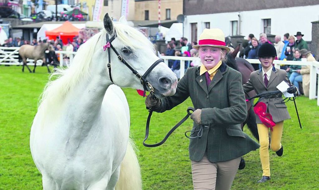 Connemara Pony Show in Clifden in August