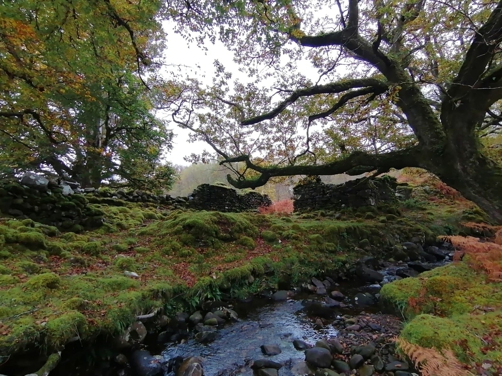 Typical Connemara landscape scene