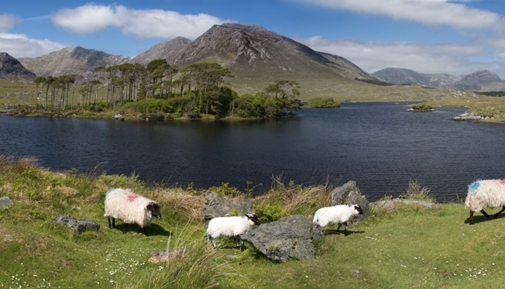 Derryclare island 20 mins drive