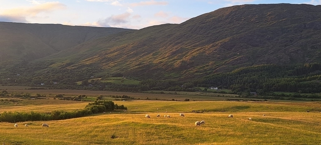 Nice easy walk near home