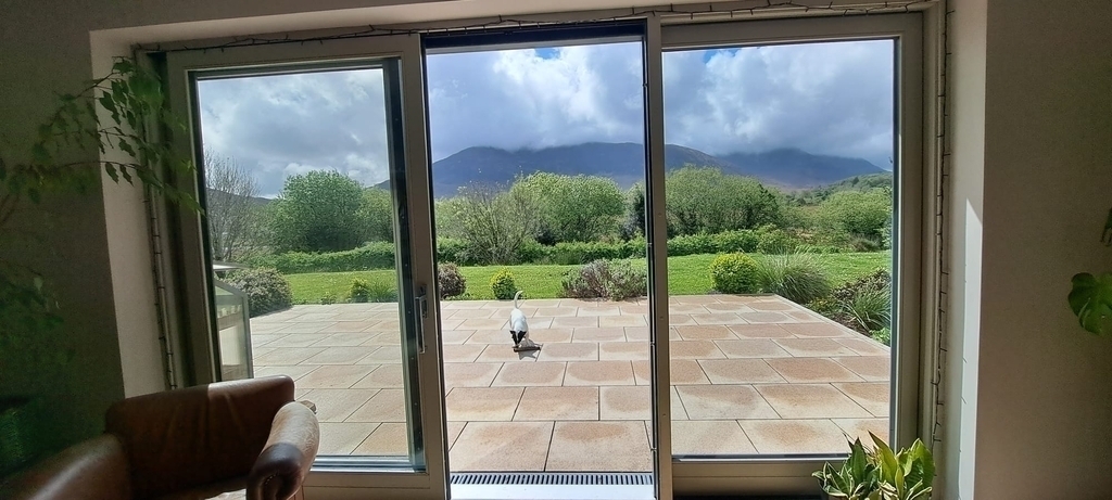 View from kitchen/dining room