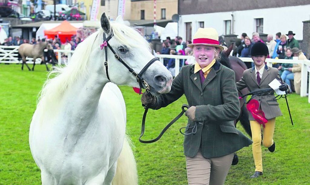 Connemara Pony Show in Clifden in August