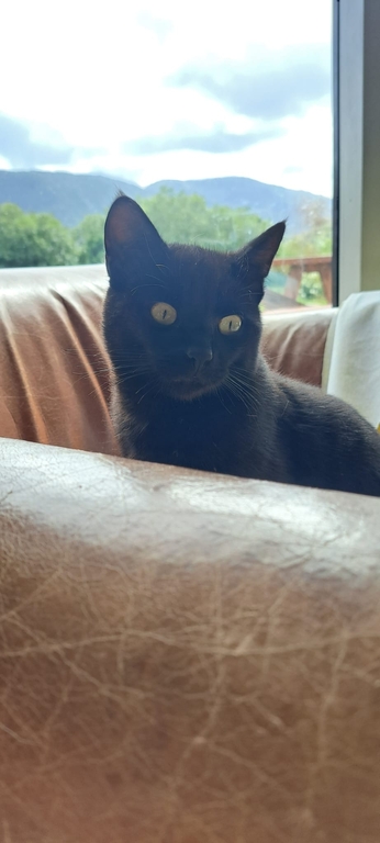 Smidge (not RIP, he stays at home during an exchange)