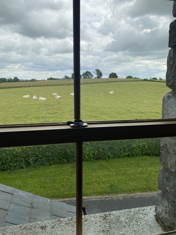 view from our kitchen window