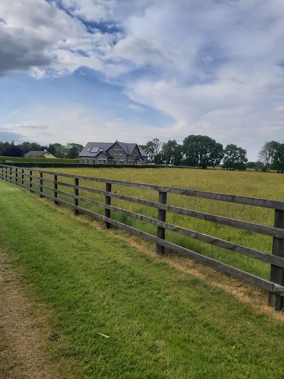 side of road approaching house