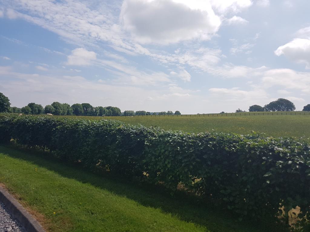 the view from the side of our house