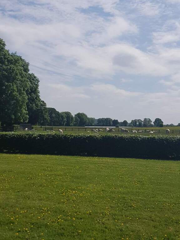 view from side of house