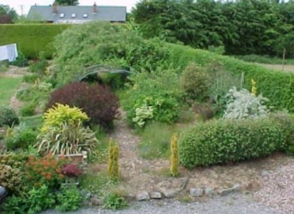 Garden at home in Kildare.