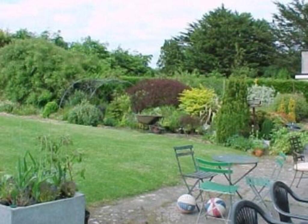 Back garden at home in Kildare.
