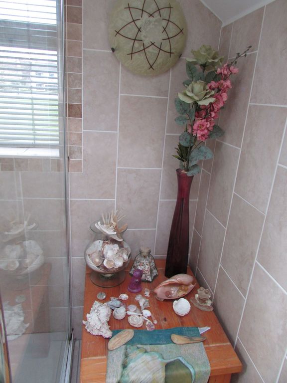 Seashells from our travels