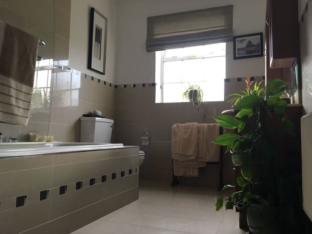 Main bathroom with shower downstairs