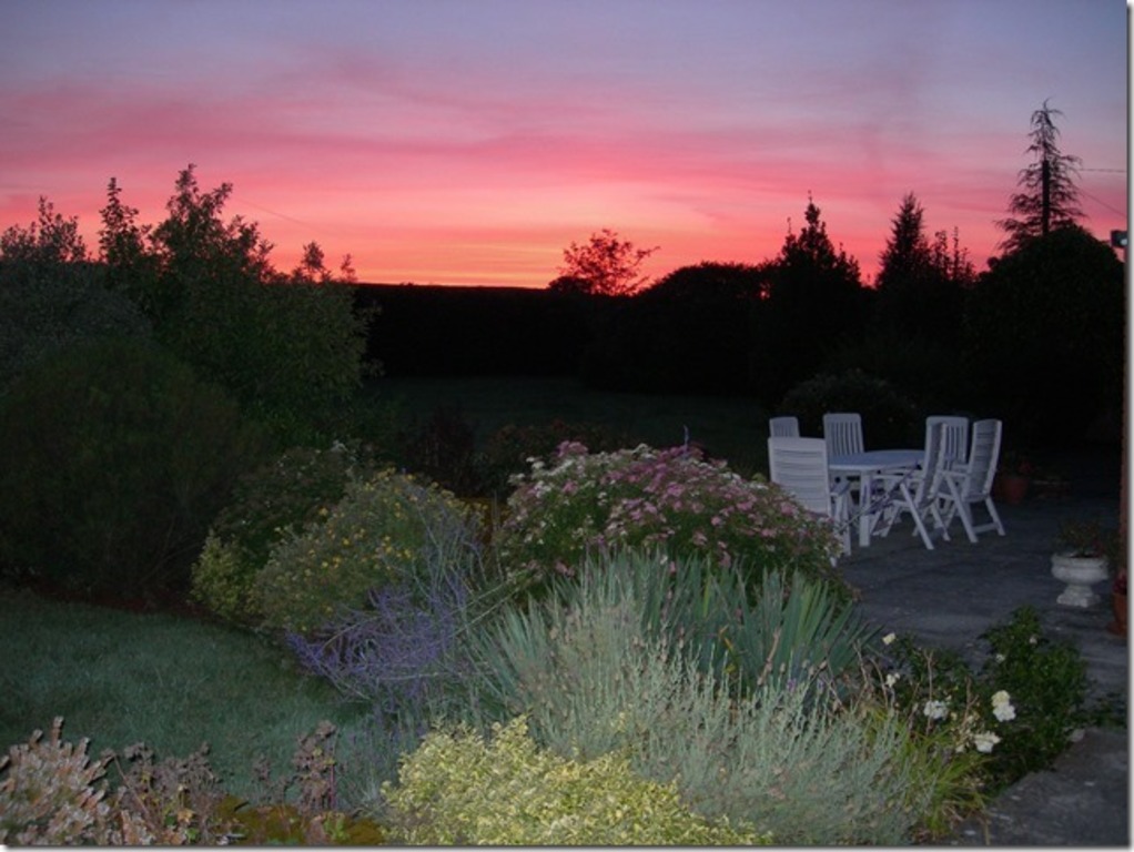 Back garden at sunset