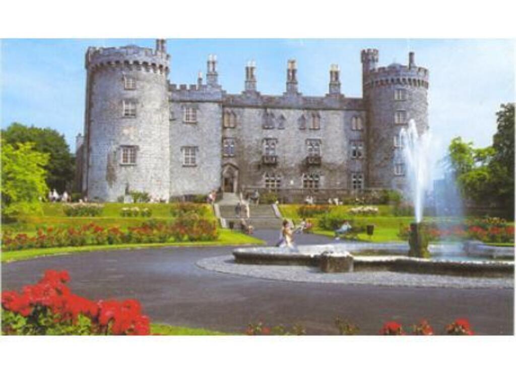Kilkenny Castle (2 miles from home)
