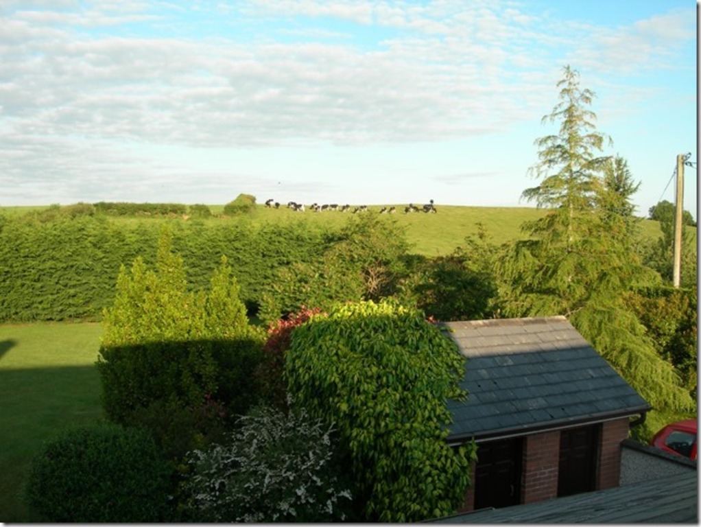 View to farmland at rear