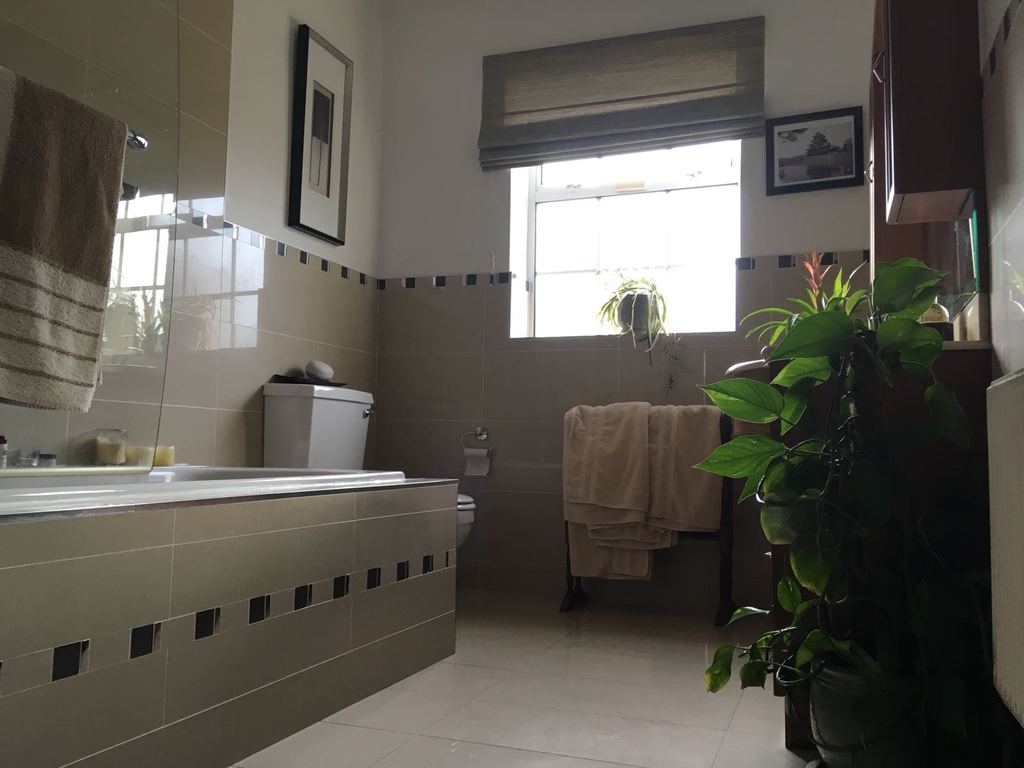 Main bathroom with shower downstairs