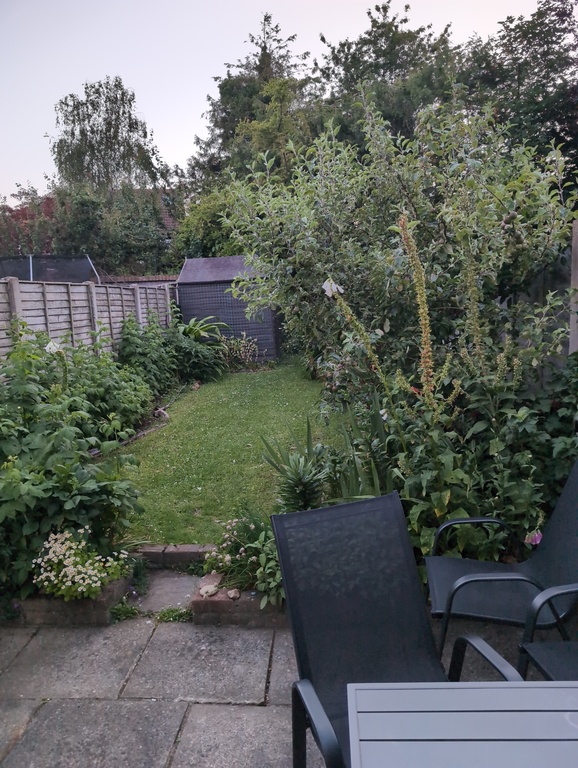 Garden
