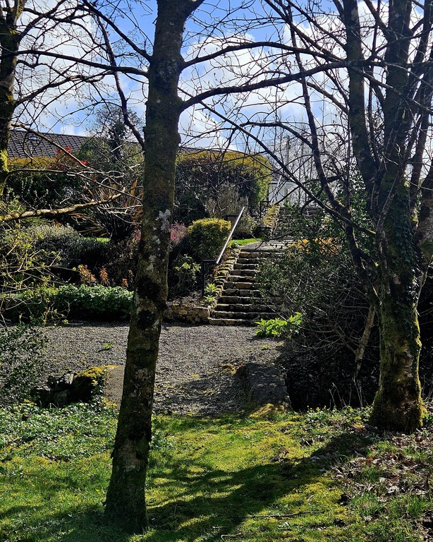 Front garden from footpath