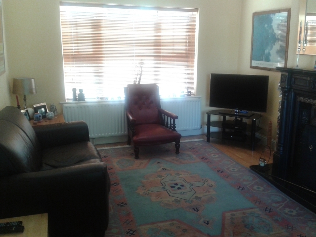 Living room with  wood burning stove & TV