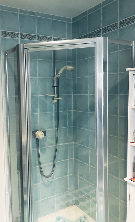 Main Bathroom Shower