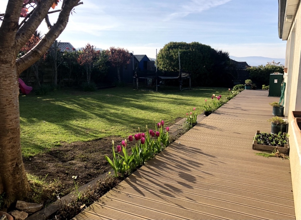 Garden and Trampoline
