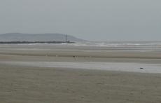 Bettystown beach