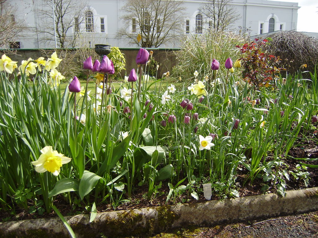 Front Lawn & Church View